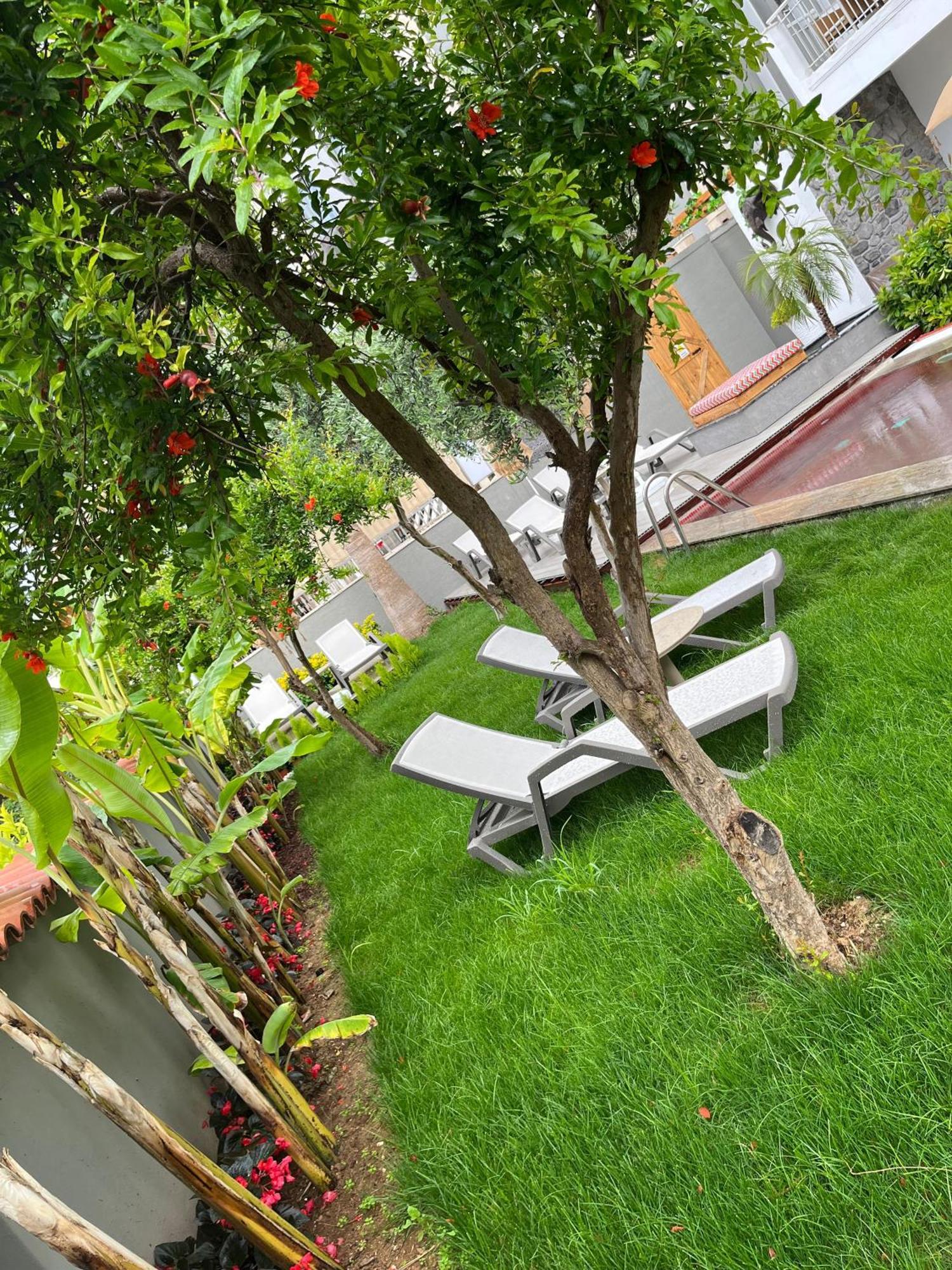 Wolf Suites Antalya Extérieur photo